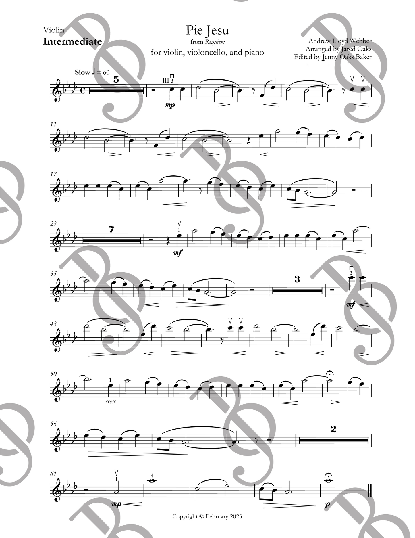 Pie Jesu Violin & Cello DUET Sheet Music (Intermediate)